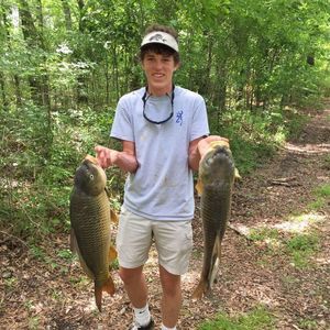 Meet your Posher, Micah